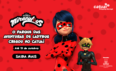 Site banner mobile - 375x230px - Ladybug - Catuai.png